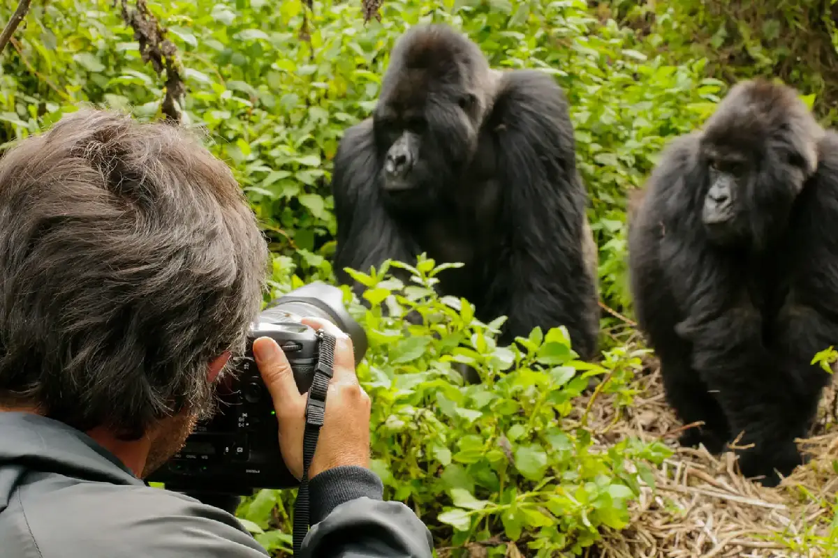 Things To Do In Kenya