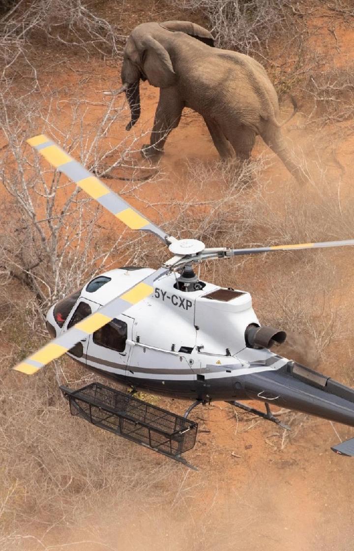Tsavo East National Park Helicopter Scenic Tours