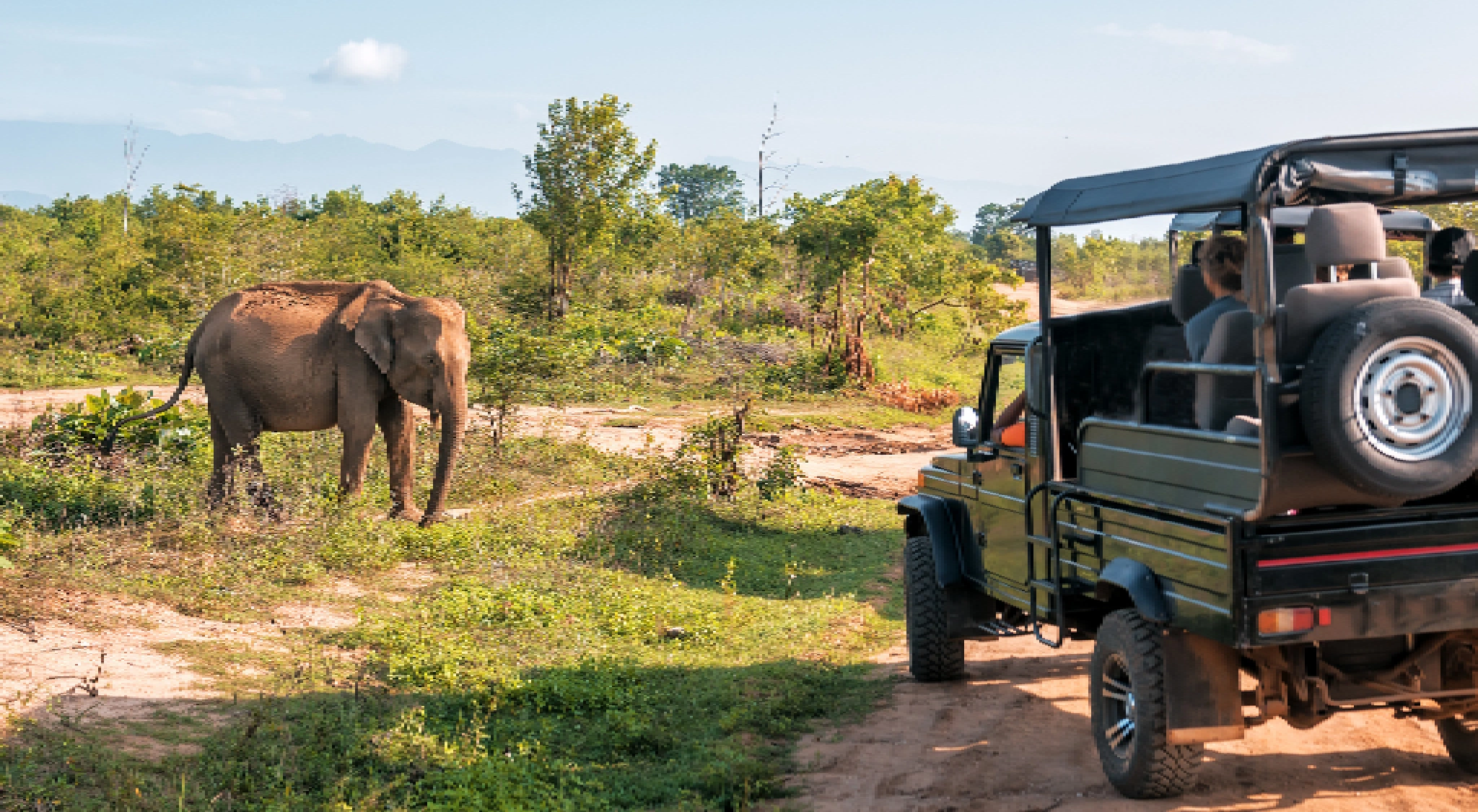Go To Tsavo East National Park