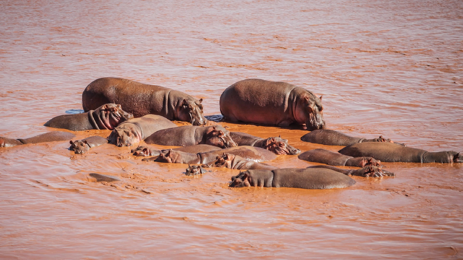 Tsavo East National Park Attractions