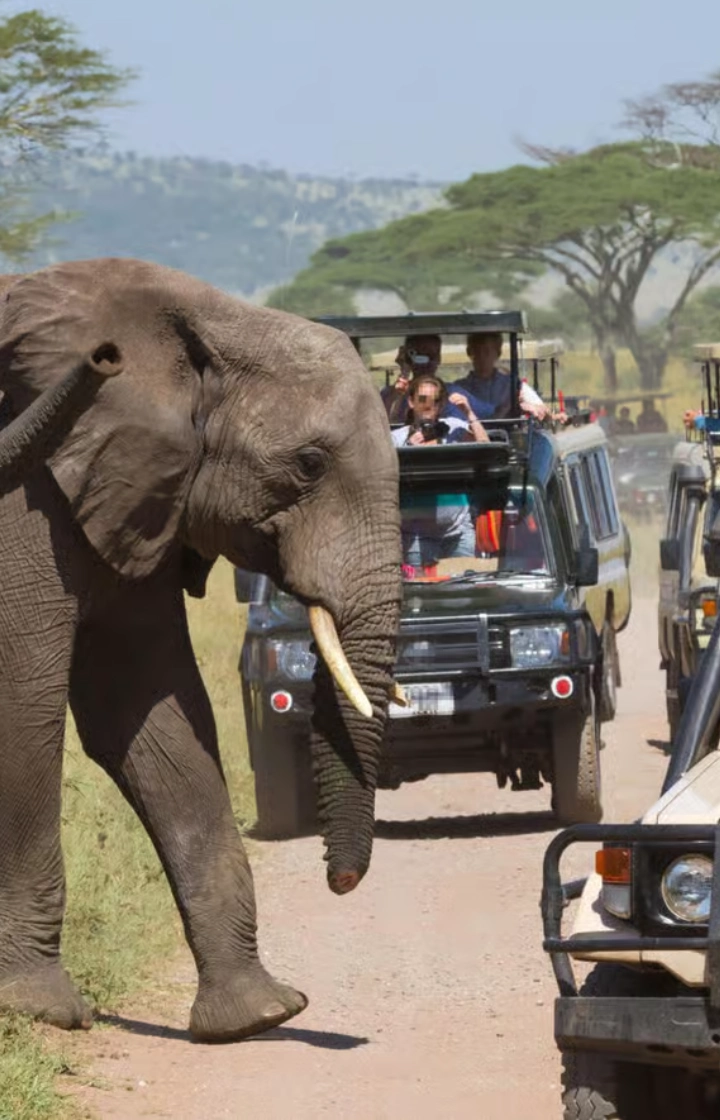 Tsavo East National Park Game Drives through the Savannah