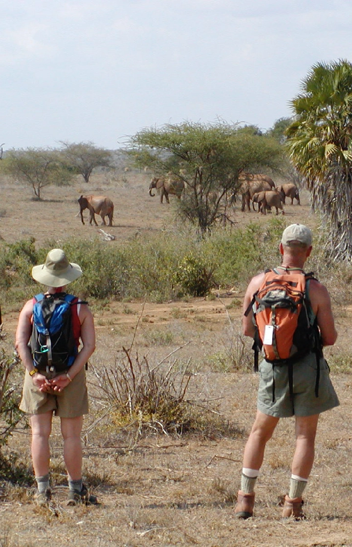Tsavo East National Park Guided Bush Walks