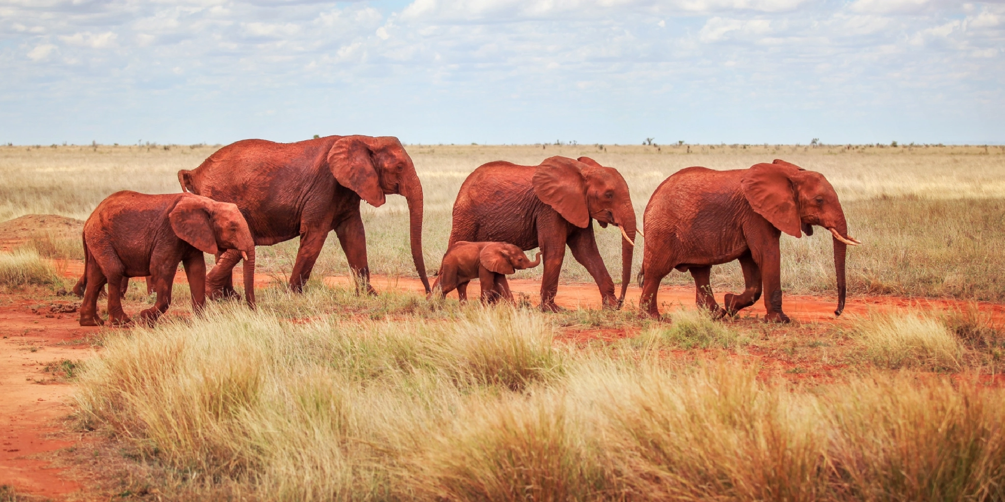 Tsavo East National Park