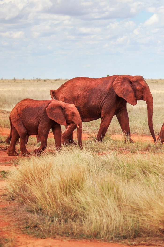 Kenya Destinations Tsavo East National Park