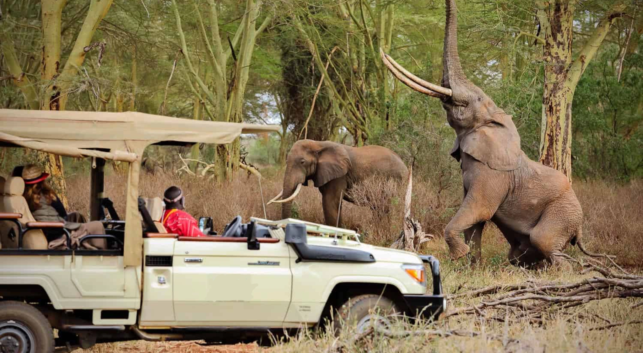 Go To Tsavo West National Park