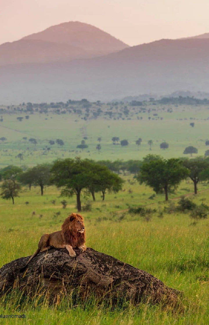 Tsavo West National Park See the Five Sisters Hills