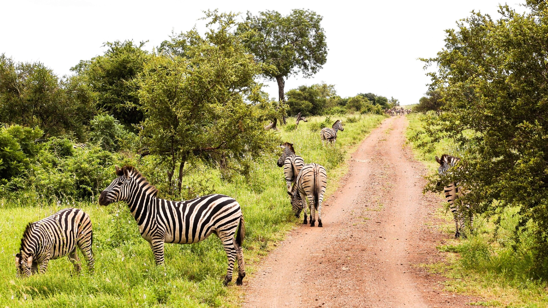 Tsavo West National Park Attractions