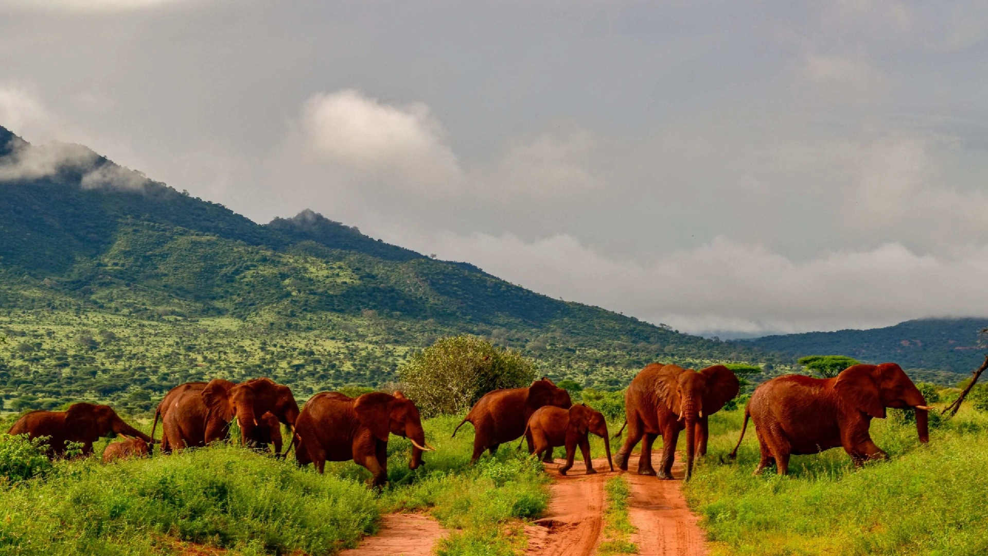 Tsavo West National Park Attractions
