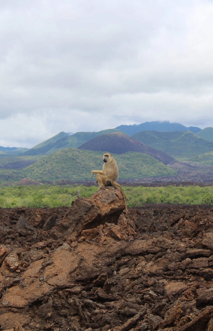 Tsavo West National Park Explore Shetani Lava Flows