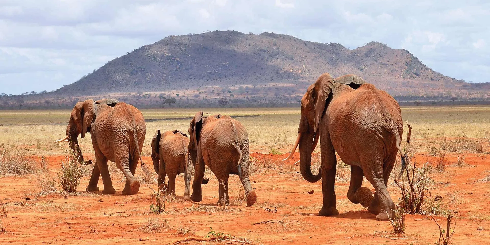 Tsavo West National Park