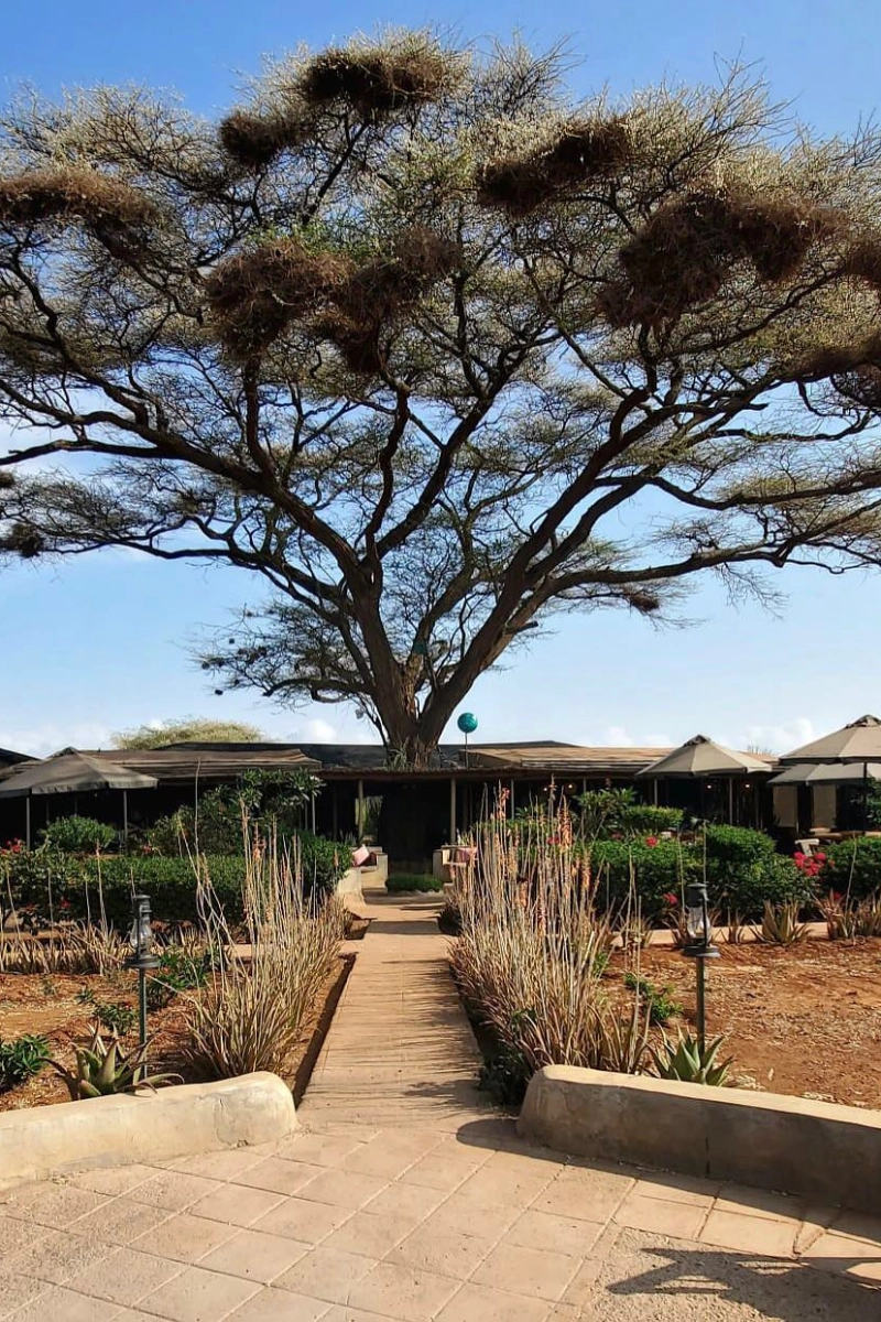 Tulia Amboseli Safari Camp