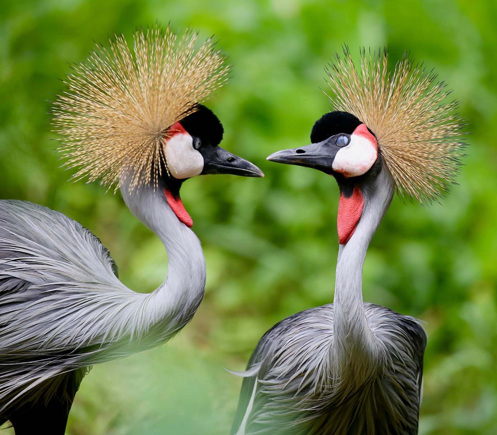 Uganda Destinations Attractions