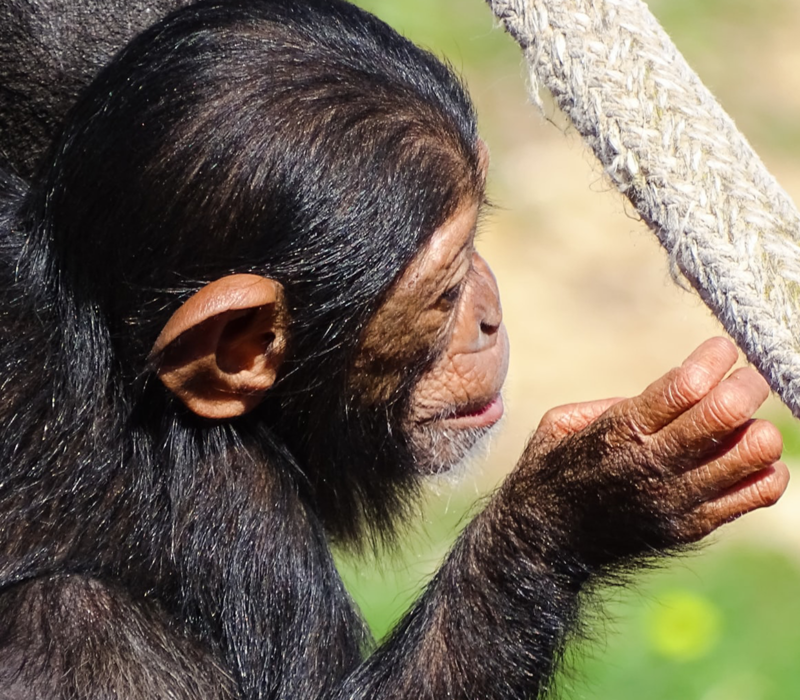 Uganda Destinations Attractions