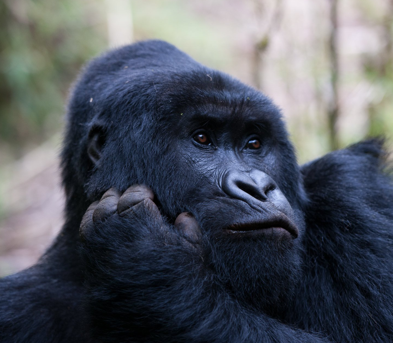 Uganda Destinations Attractions