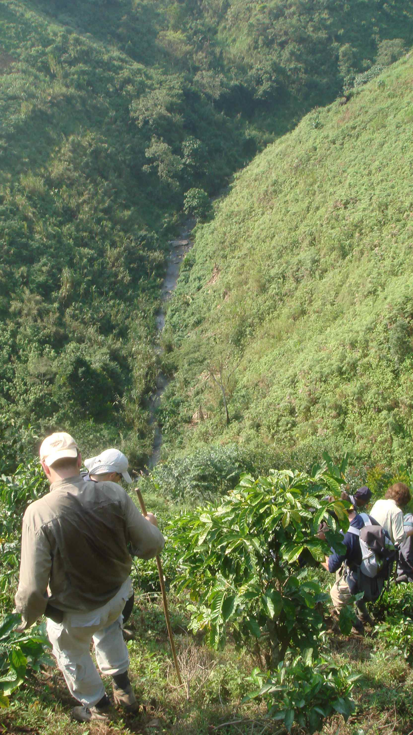 Uganda Trekking