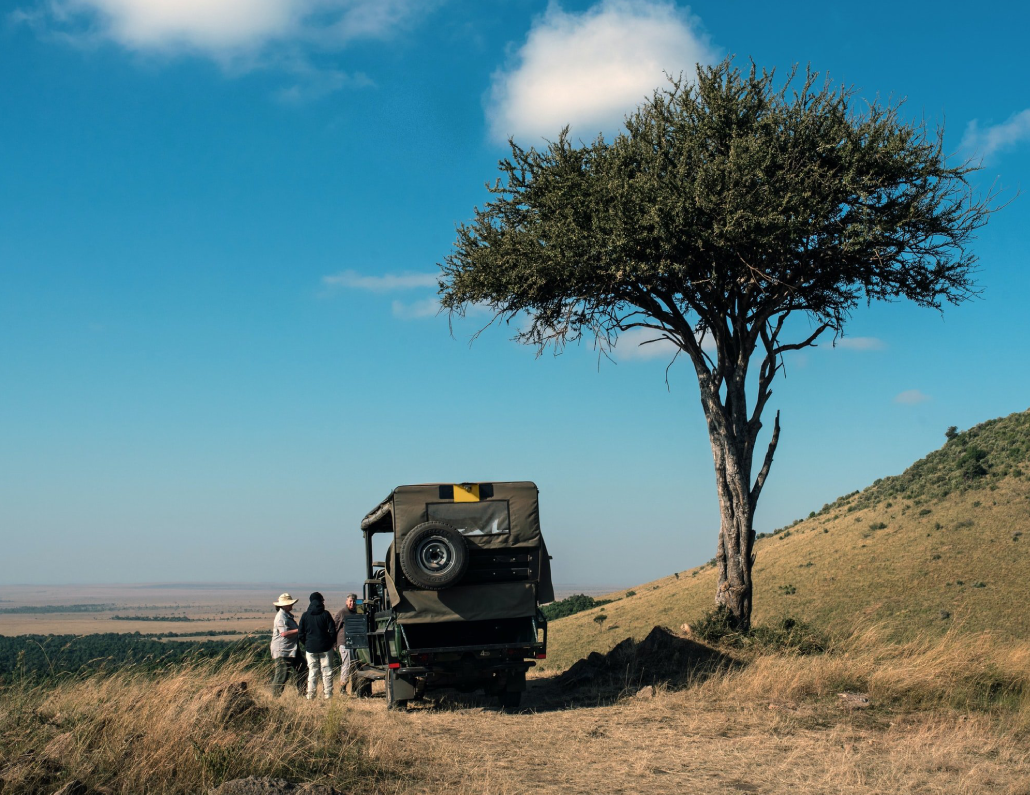 Rwanda Safaris Game Drives