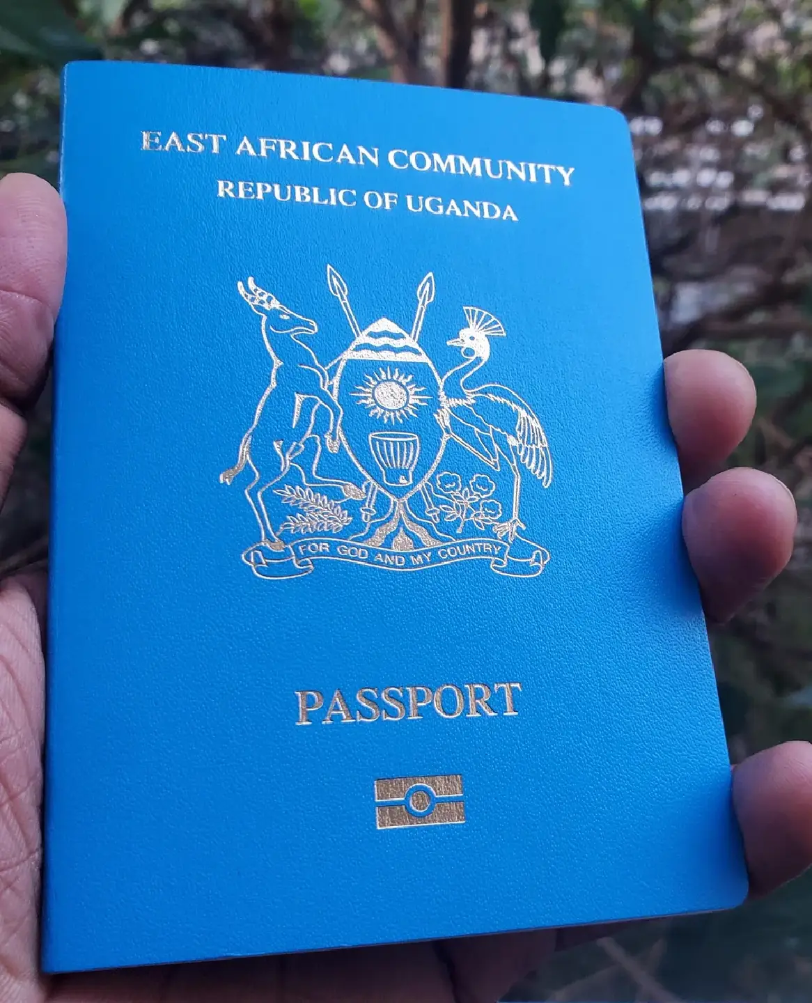 Best Time To Travel To Kenya