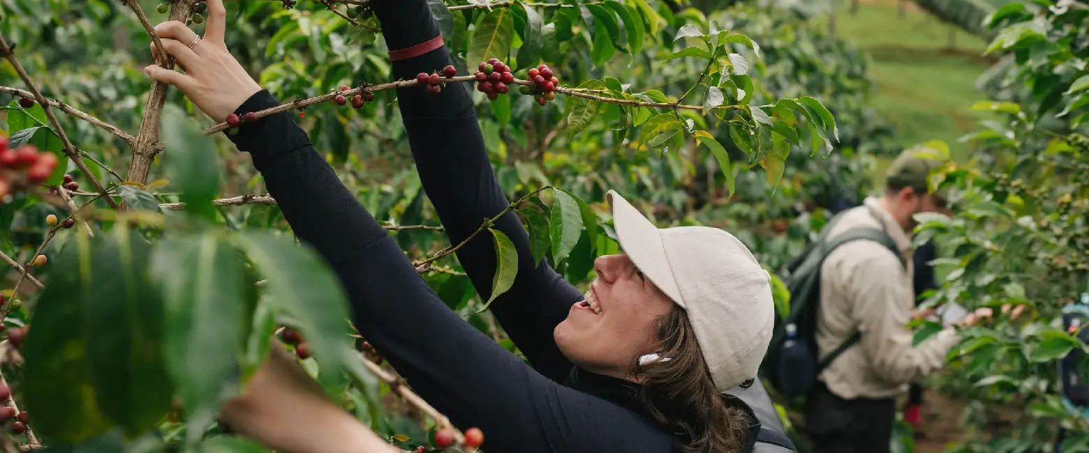 Visiting a Coffee Tours Seeds