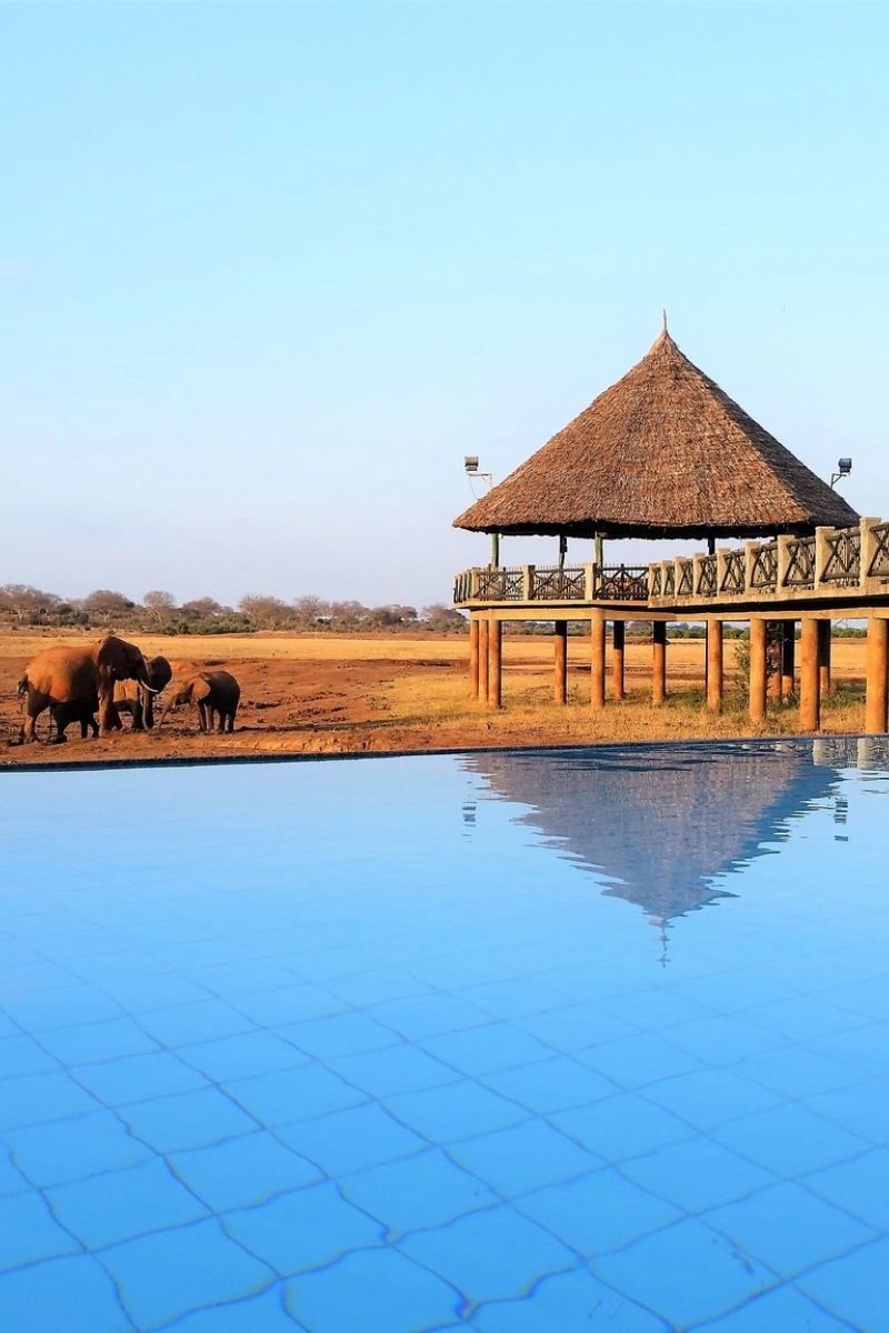 Voi Wildlife Lodge
