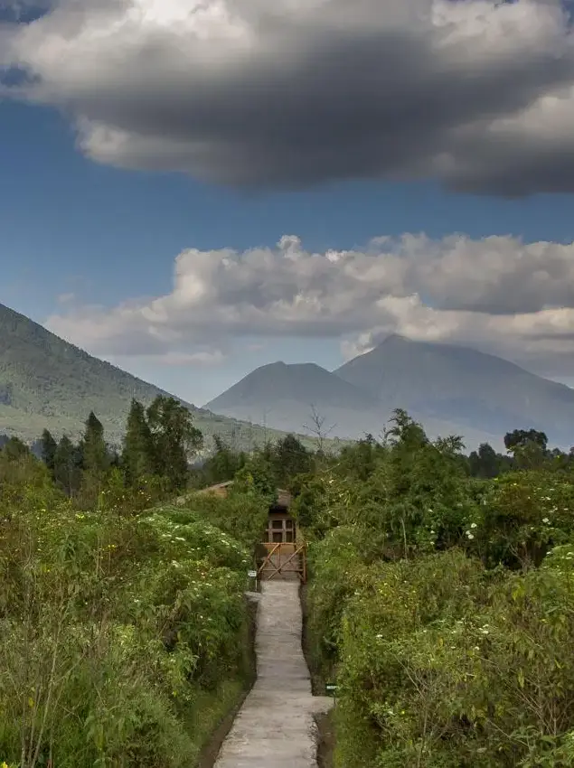 Volcanoes National Park Dry Seasons