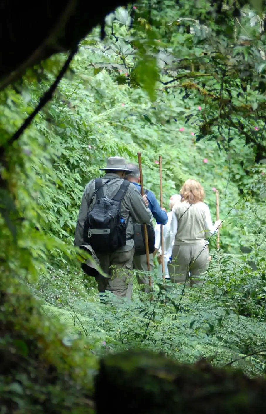Volcanoes National Park Attraction