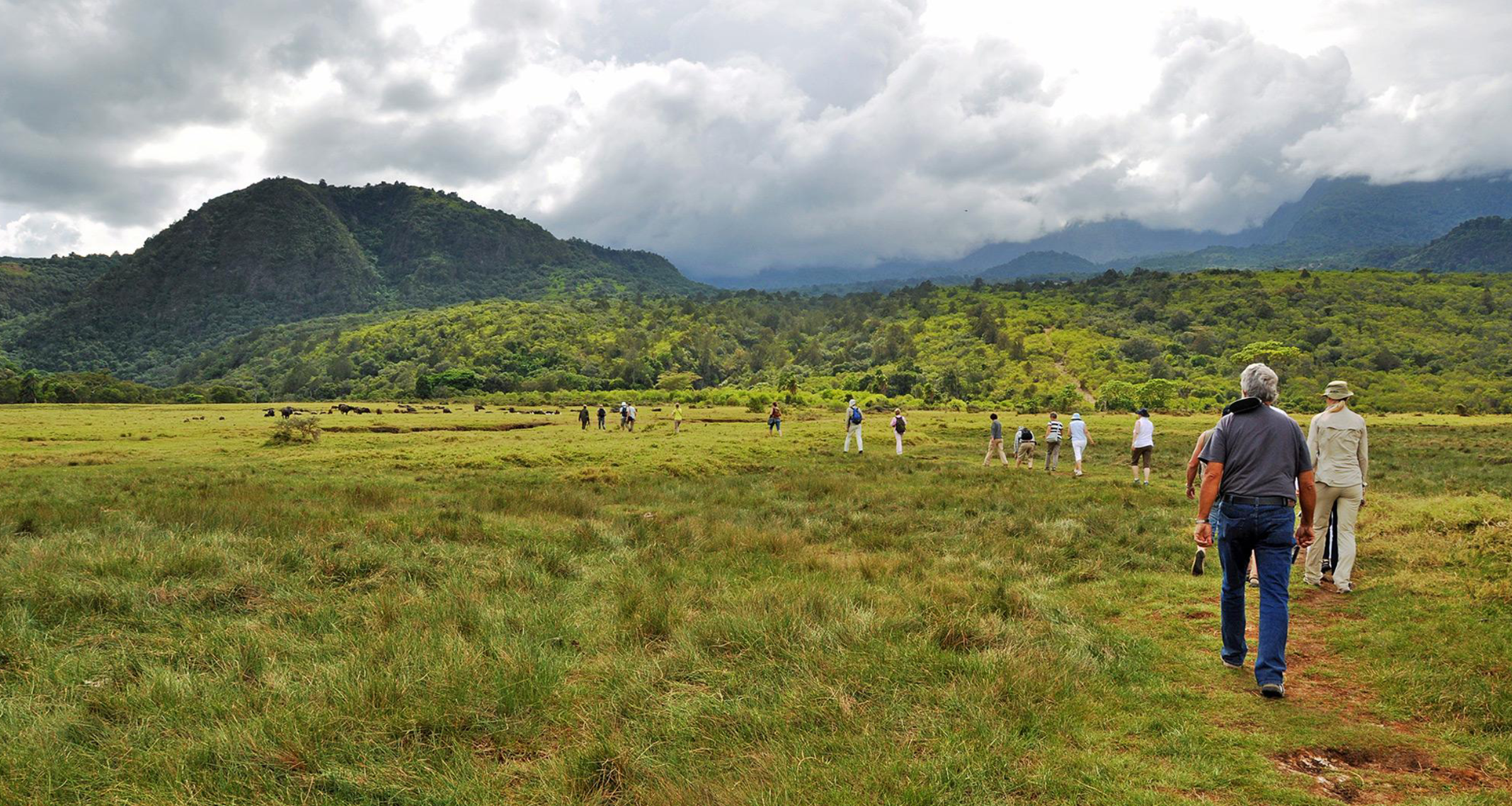 East Africa Safari Experience  Walking Safari