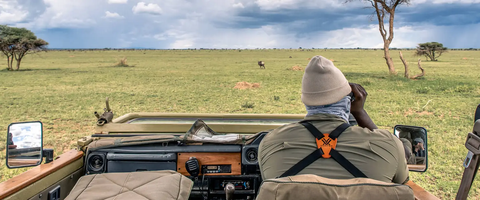 Wildlife Photography Wildlife