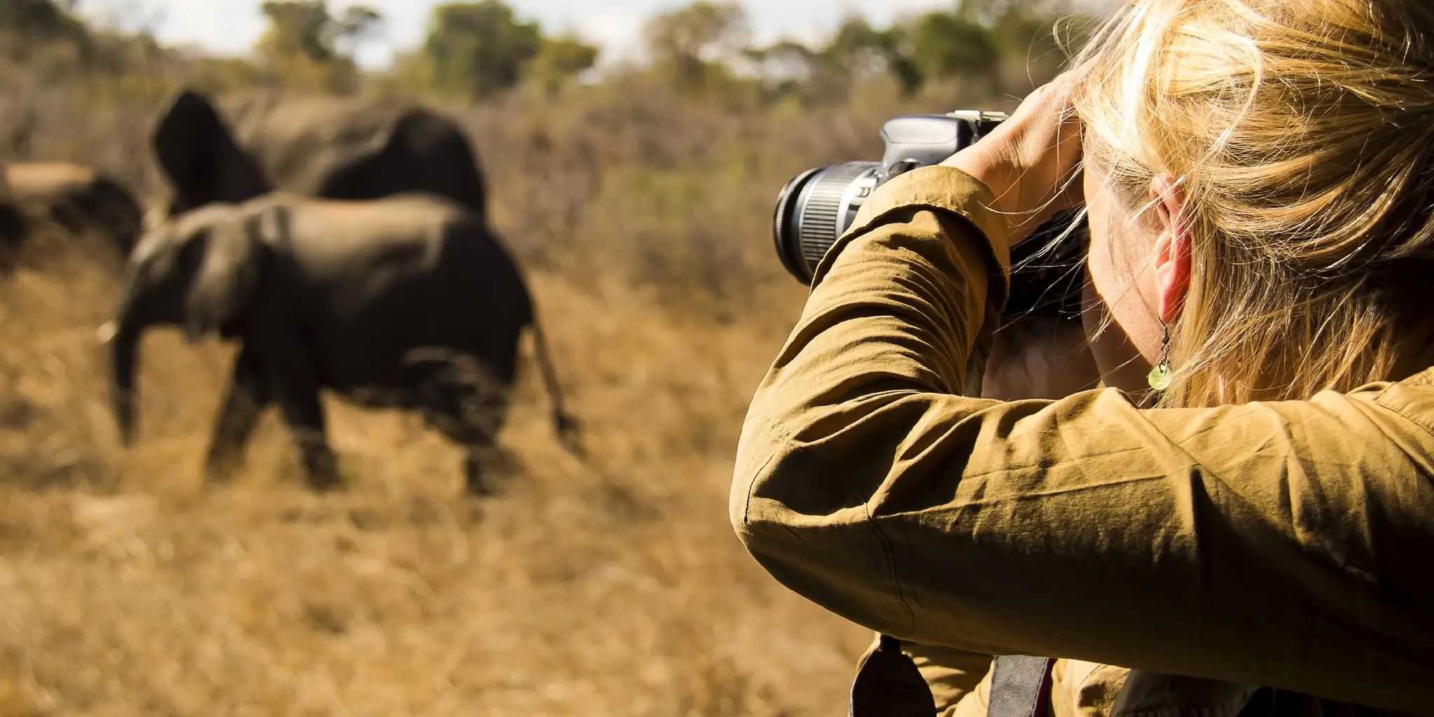 Wildlife Photography