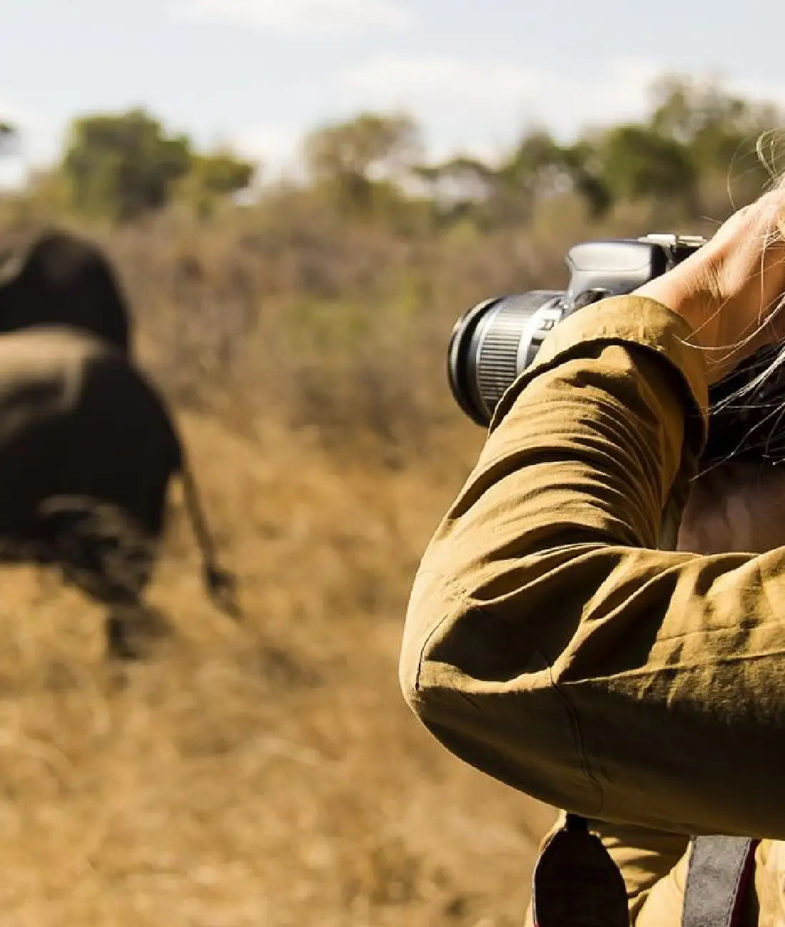 Wildlife Photography