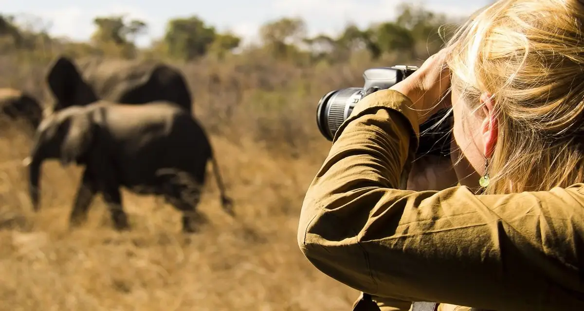 East Africa Safari Experience Photography Safaris